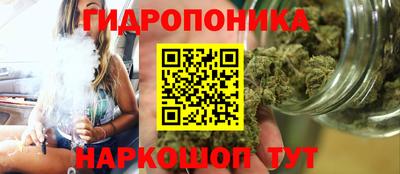 крисы Конаково