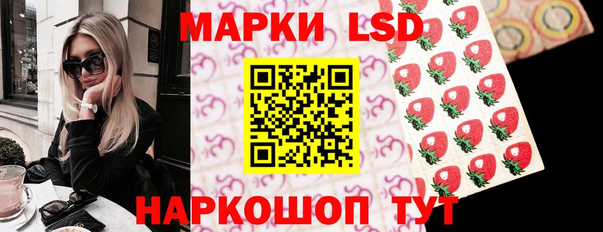 Лсд 25 экстази кислота  ОМГ ОМГ ссылка  Камышлов  ЛСД экстази кислота  Вход с VPN 
